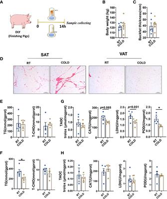 Cold Exposure Induces Depot-Specific Alterations in Fatty Acid Composition and Transcriptional Profile in Adipose Tissues of Pigs